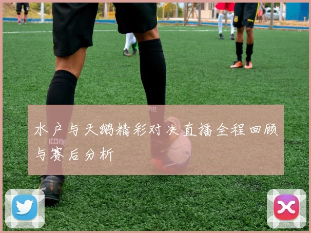 水户与天鹅精彩对决直播全程回顾与赛后分析