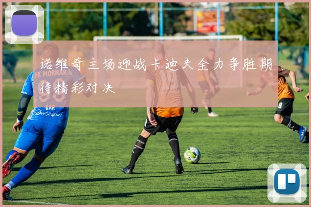 诺维奇主场迎战卡迪夫全力争胜期待精彩对决